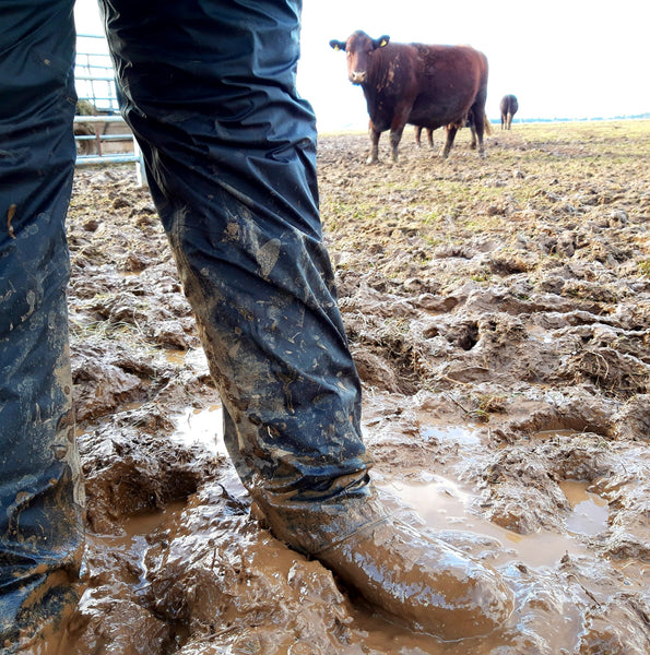 How To Clean Your Leather Country Boots