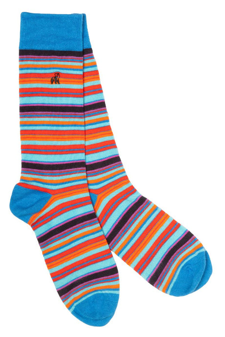 Swole Panda Narrow Stripe Bamboo Socks - Red Blue