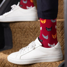 Swole Panda Animal Bamboo Socks - Red Cats model