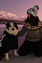 Superbobble Bobble Hat - Freya Nordic dog
