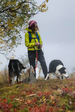 Beanie Hat - Hildasay Berries dog walking