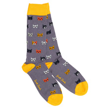 Swole Panda Animal Bamboo Socks - Cats